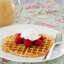 Sweet and Fluffy Malted Milk Waffles | realmomkitchen.com