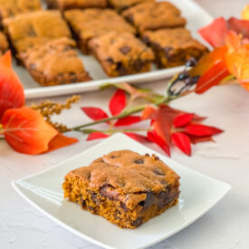 pumpkin chocolate chip squares