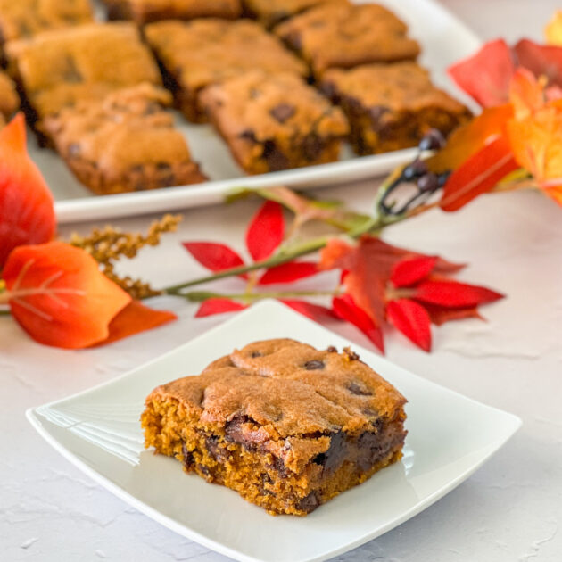 pumpkin chocolate chip squares