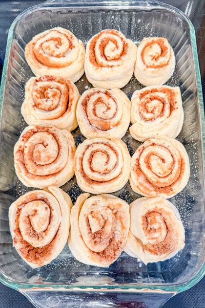 cinnamon rolls ready to rise