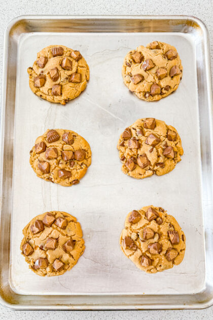 peanut butter cookies with reese's peanut butter cups