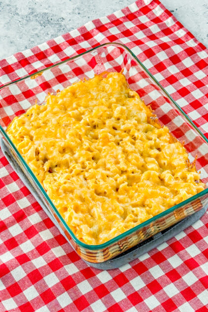 lasagna mac and cheese