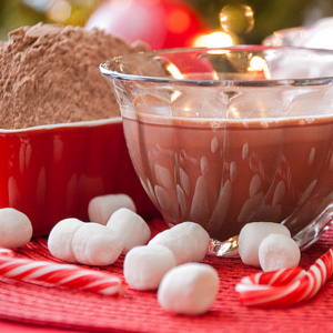 Best Ever Hot Cocoa Mix | realmomkitche.com