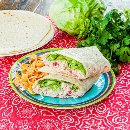 Chicken enchilada salad wrap with fresh lettuce and enchilada chicken salad
