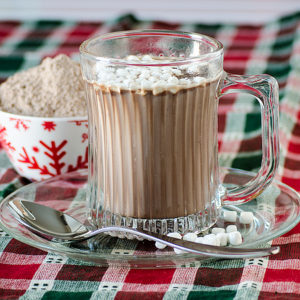 Hot Cocoa Mix | realmomkitchen.com