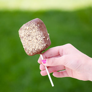 S'mores Pops | realmomkitchen.com