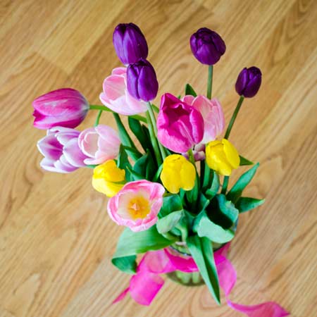 Tulips 2