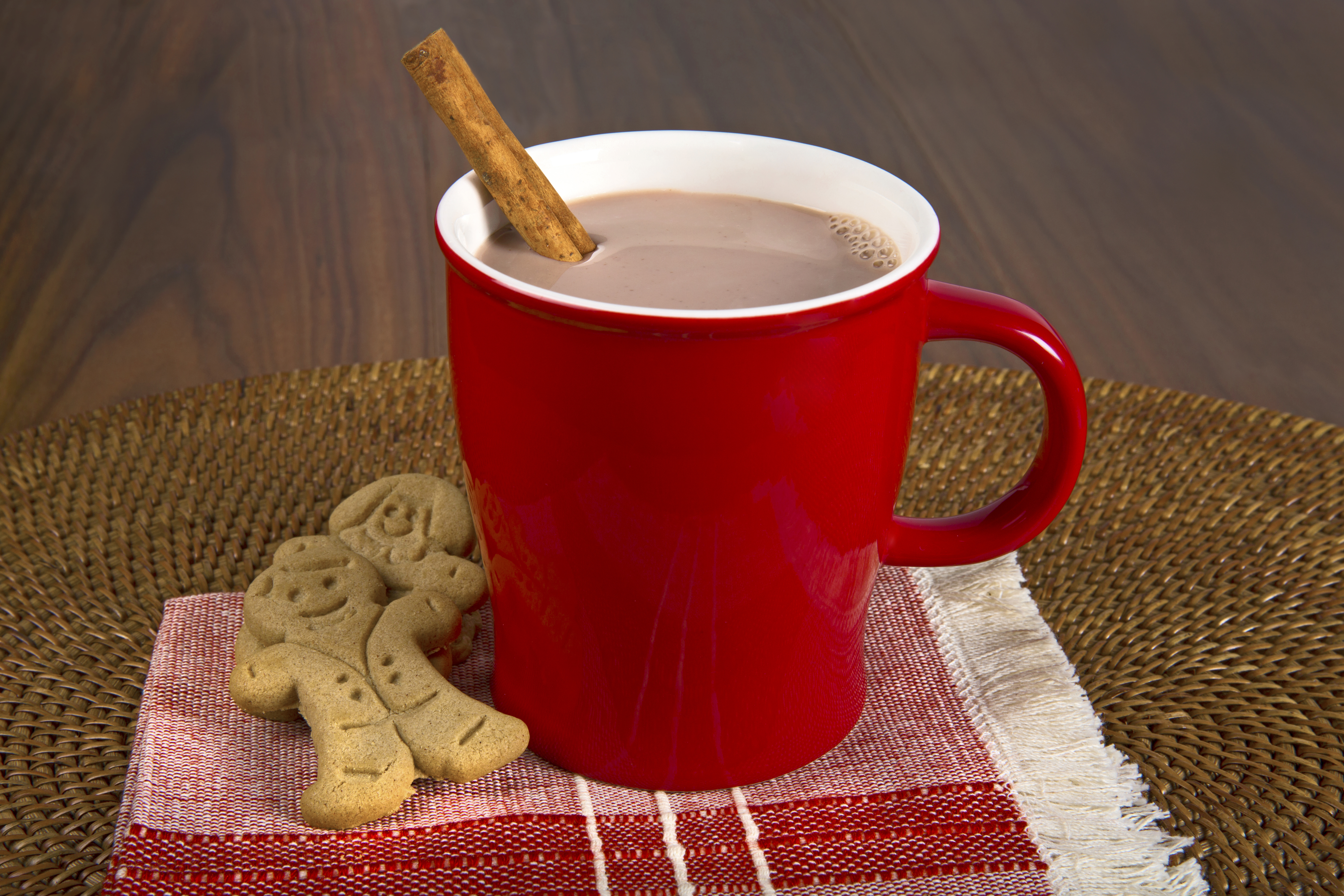 TruMoo Gingerbread Hot Chocolate