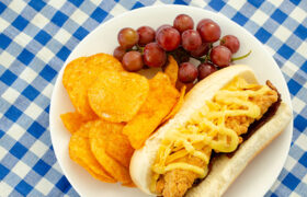 South Carolina Bird Dogs | realmomkitchen.com