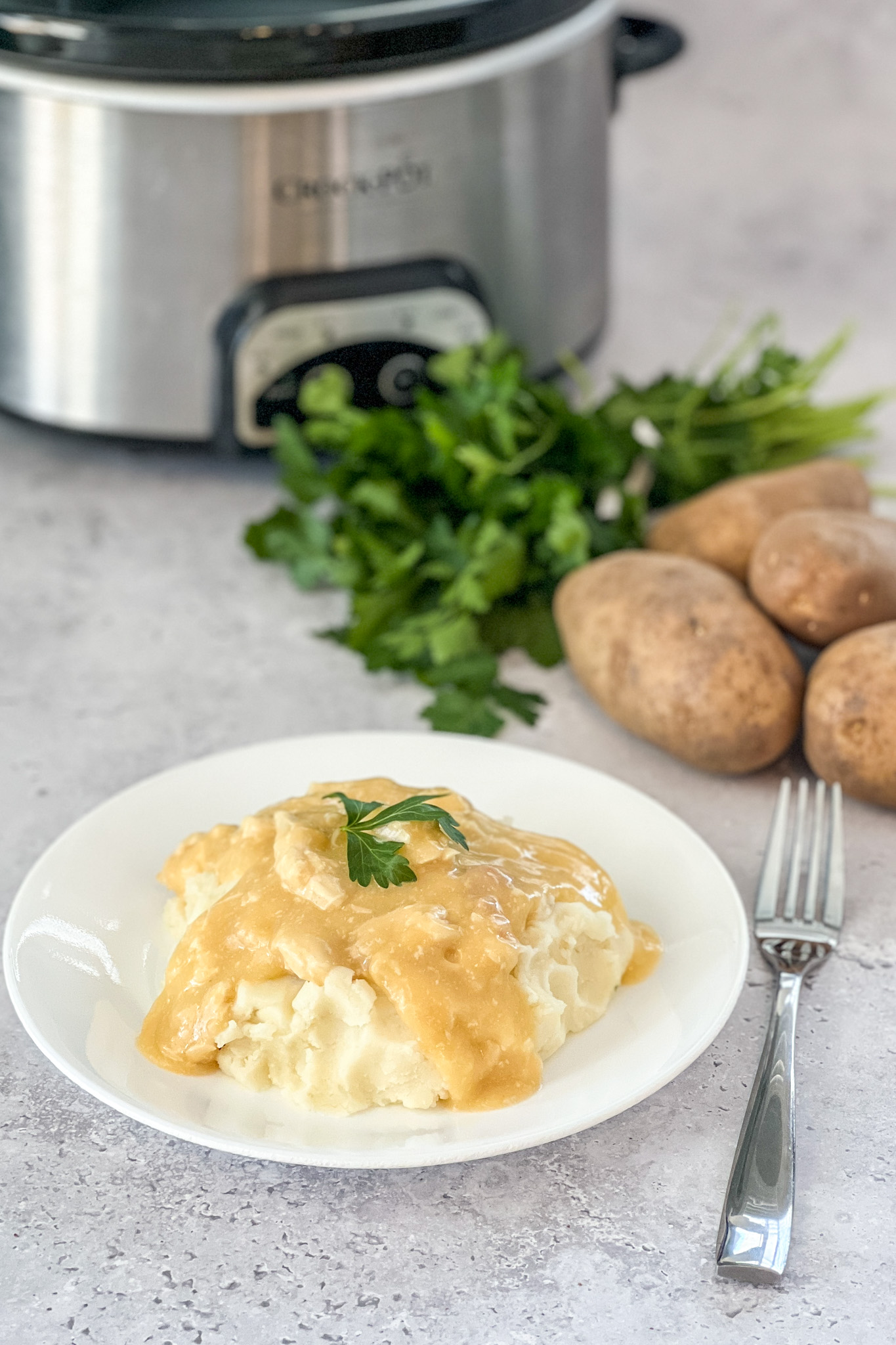 Easy and Nutritious Slow Cooker Chicken and Gravy Real Mom Kitchen