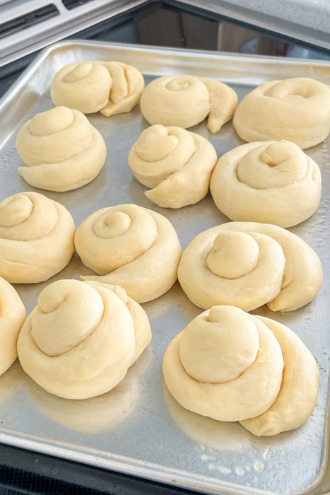 Quick Potato Rolls | realmomkitchen.com