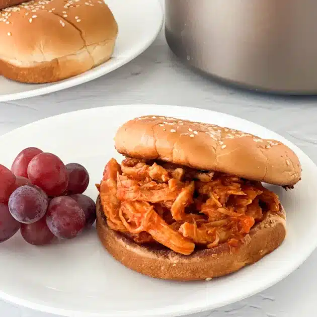chicken sloppy joe aon a plate with red grapes