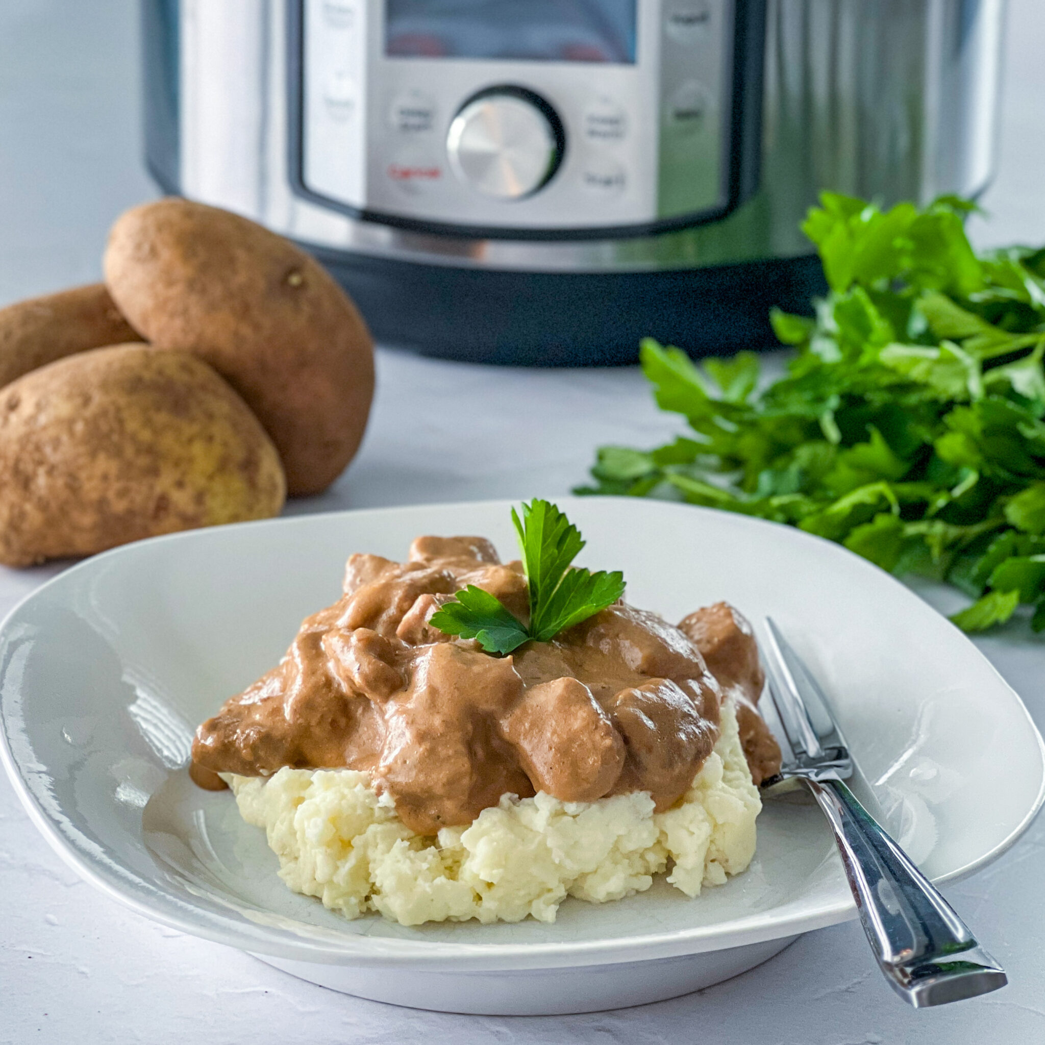 Easy Instant Pot Beef Tips and Gravy Real Mom Kitchen