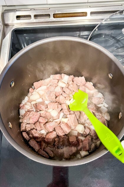 beef and onion in pot for stew