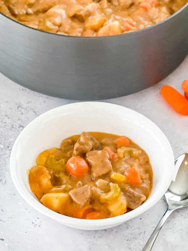 pot of beef stew with a serving in a white bowl