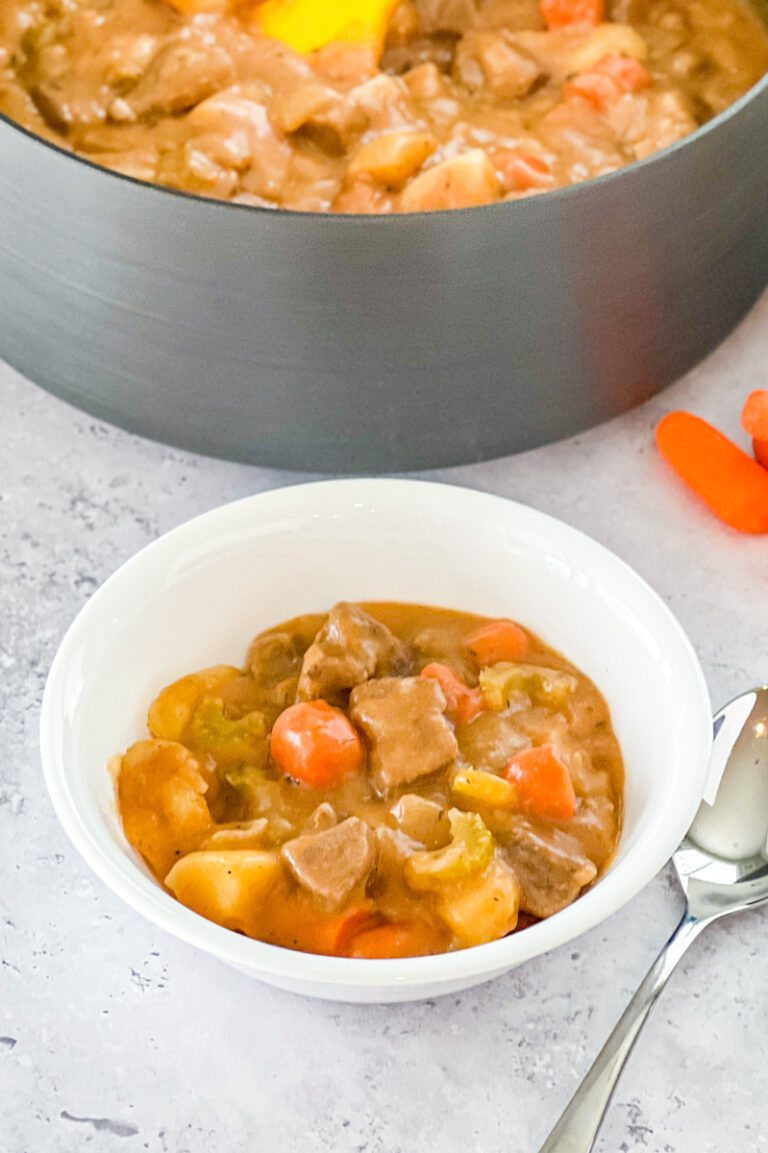 pot of beef stew with a serving in a white bowl