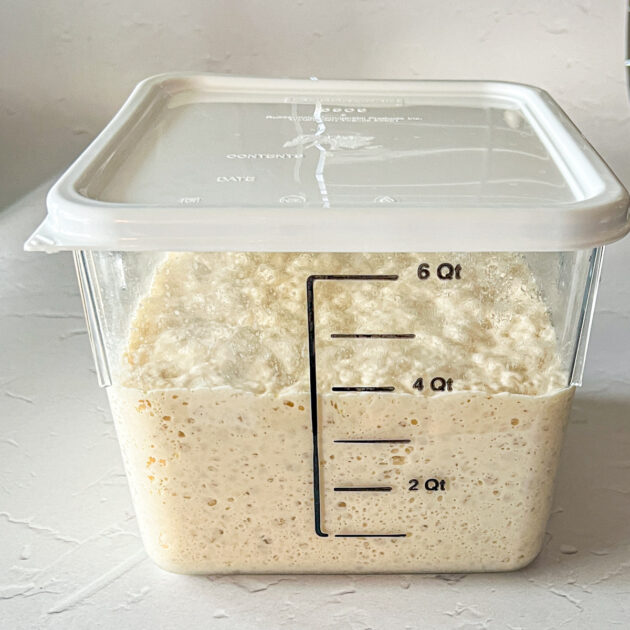 dough for baguette bread after sitting over night