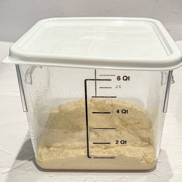 dough for baguette bread right after mixing