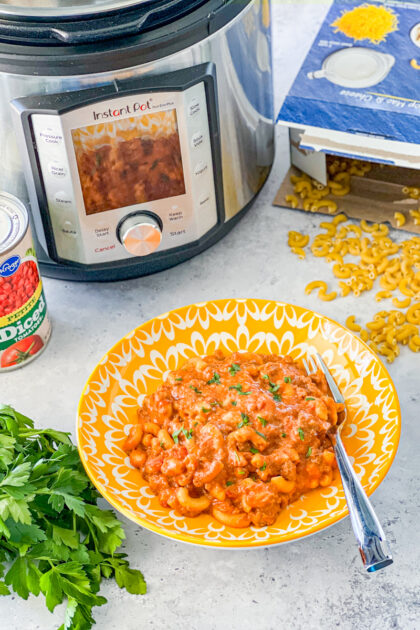 Bowl of goulash by Instant Pot with ingredients