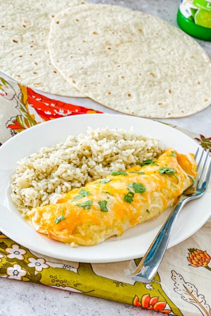 Honey Lime Chicken Enchilada plated with tortillas in background