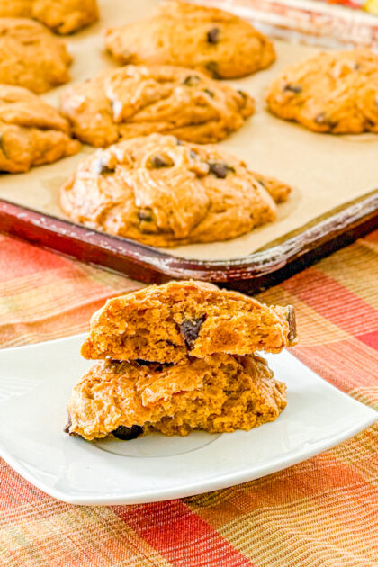 inside of pumpkin cake cookie with dark chocolate chips