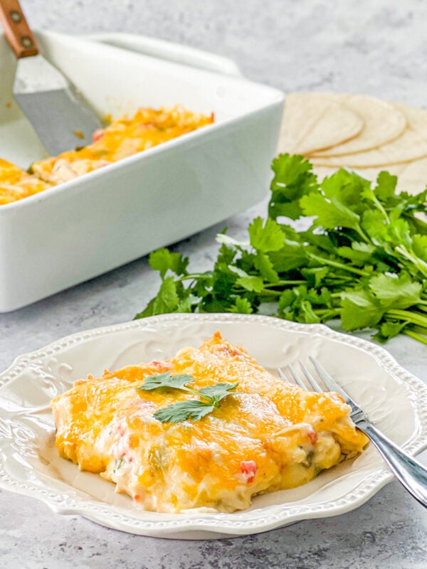 layered chicken enchilada casserole