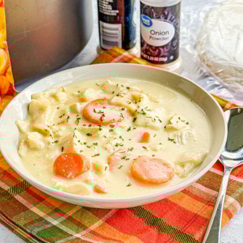 chicken and dumplings made with tortillas