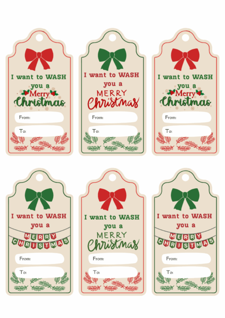 I want to wash you a Merry Christmas Gift Tag Image Only