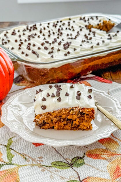 pumpkin chocolate chip cake