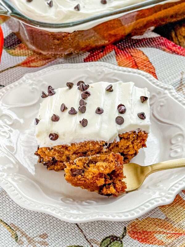 Spiced Pumpkin Chocolate Cip Cake