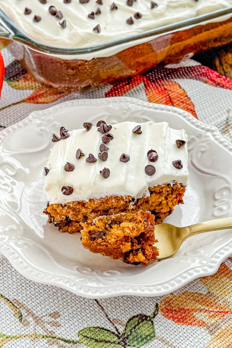 Spiced Pumpkin Chocolate Cip Cake