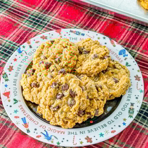 pumpkin chocolate chip cookies with oatmeal