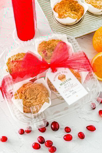 Cranberry Orange Muffins