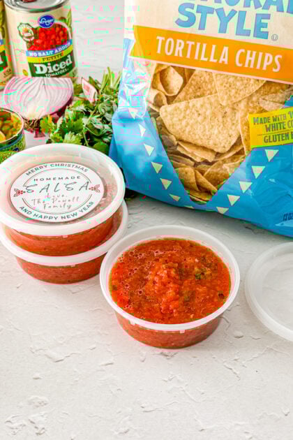 homemade blender salsa