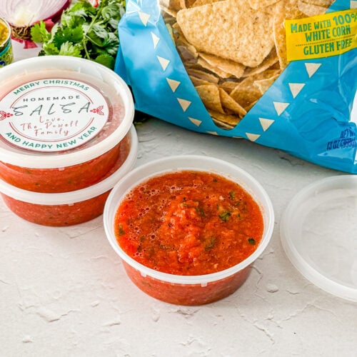 blender salsa recipe