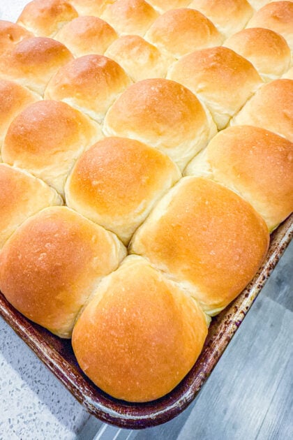 dinner roll recipe