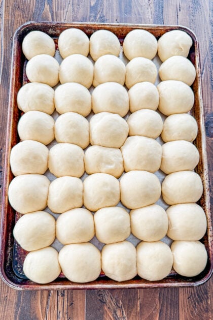 dinner rolls recipe