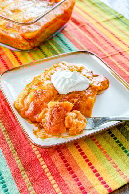 easy chicken enchilada recipe