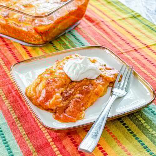 chicken enchiladas recipe
