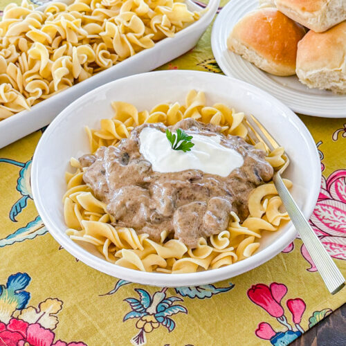 bowl of egg noodles tops with mushroom beef stroganoff sauce, a dollop of sour cream, and chopped green onion
