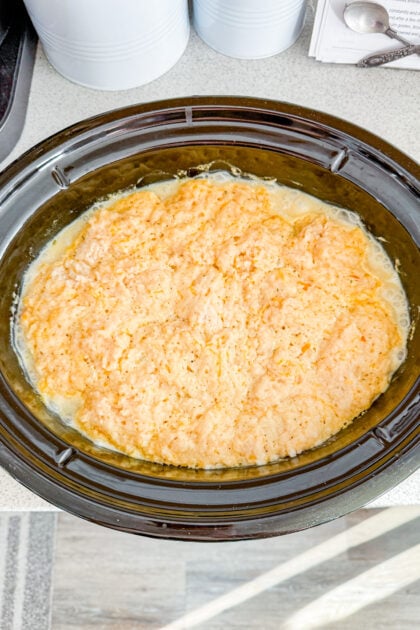 Close-up of fluffy cheddar biscuit dumplings cooked in slow cooker chicken and gravy.