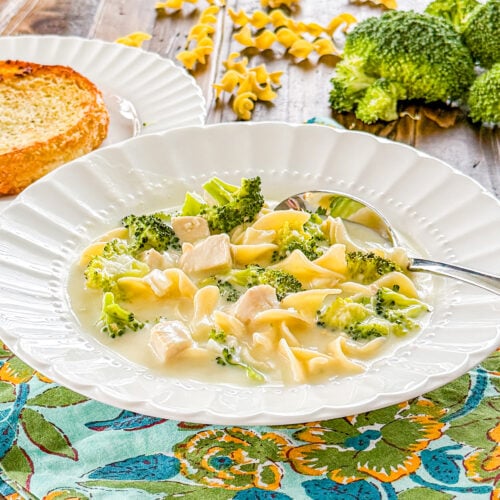 close up of a bowl of soup with a creamy white pase with egg noodles, chunks of chicken, and broccoli florets in a white bowl