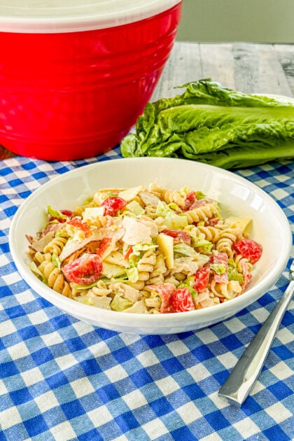 Close-up of Italian grinder pasta salad with pasta, meats, cheese, and vegetables