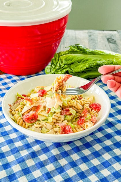 Pasta salad detail photo
Italian grinder pasta salad with pepperoni, salami, turkey, provolone, and romaine