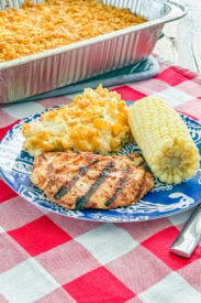 Grilled barbecue marinated chicken on a plate