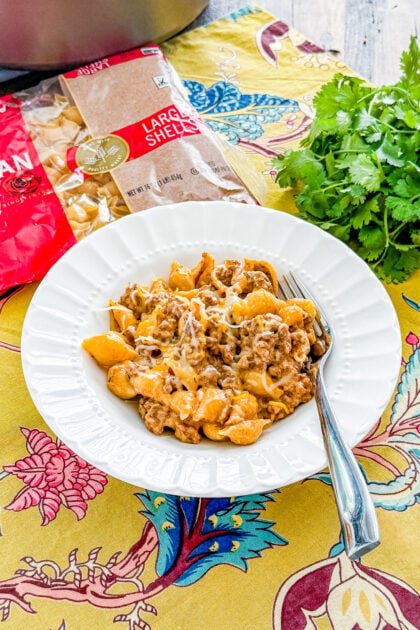 Creamy beef and shells served as an easy one pot family dinner