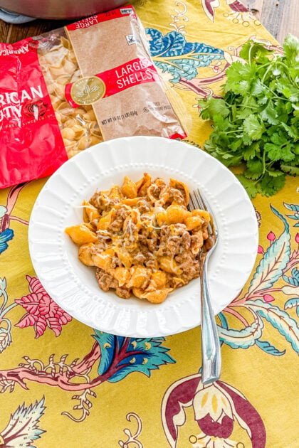 Bowl of creamy beef and shells topped with shredded cheese